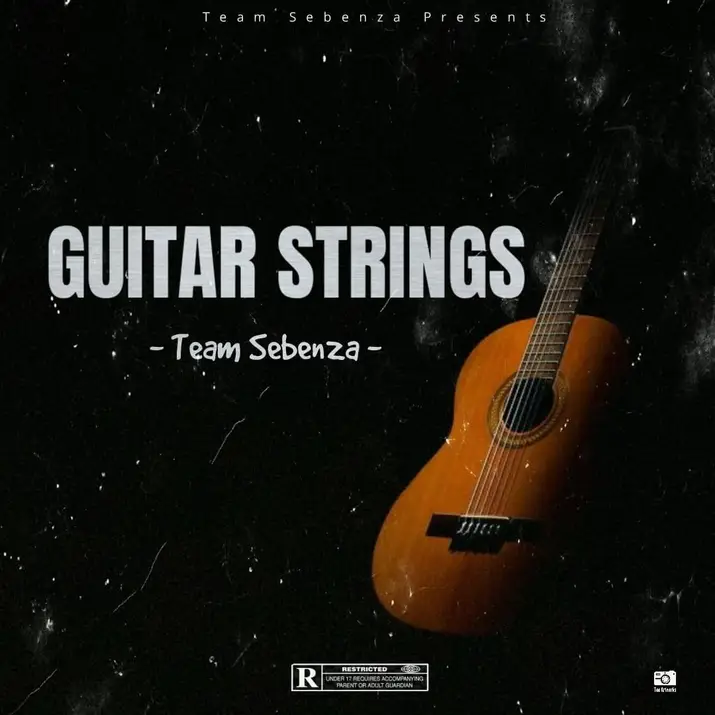 Team Sebenza – Guitar Strings Mp3 Download